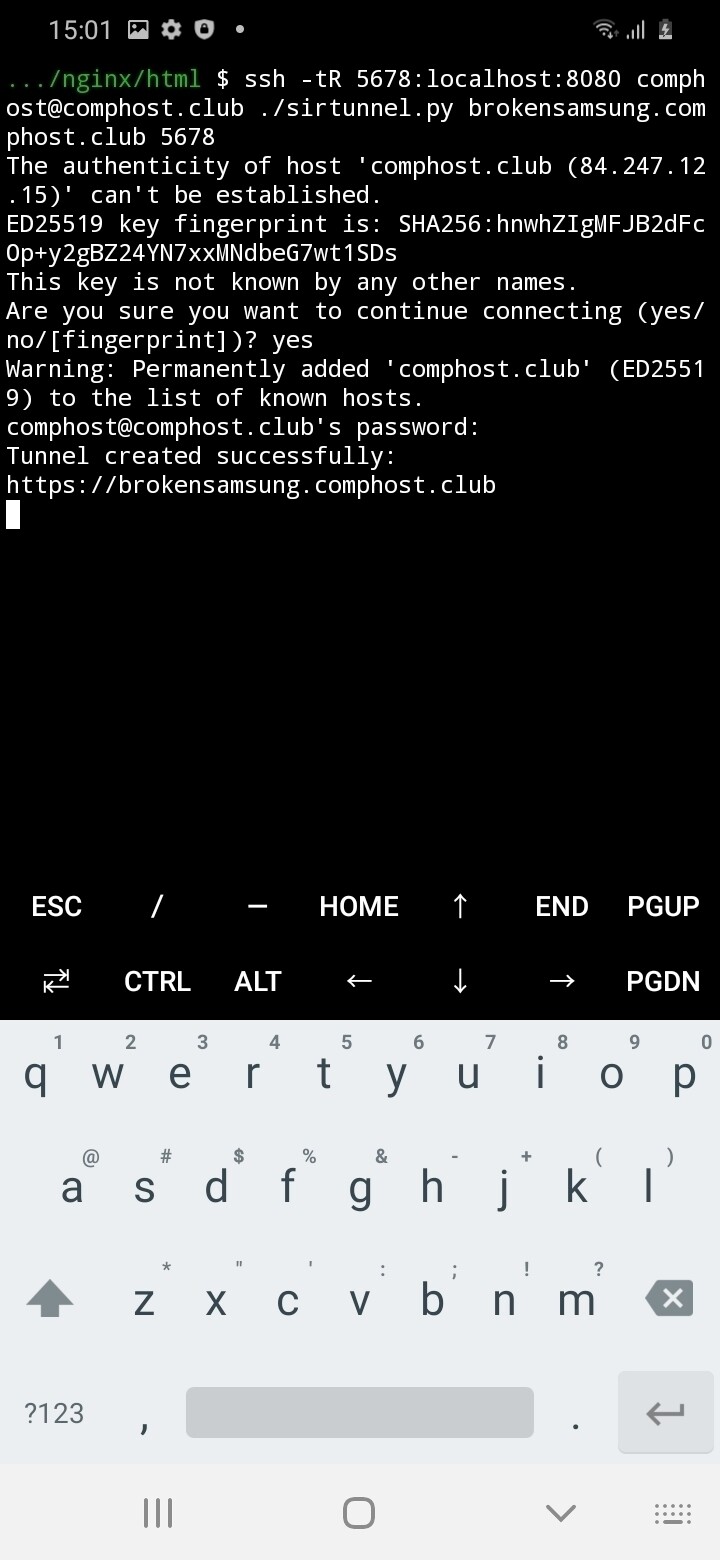 Creating a tunnel to the reverse proxy server comphost.club