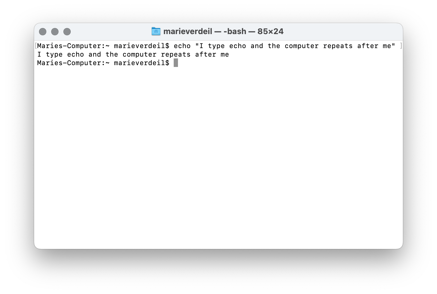 A Terminal window on a MacOS with the command echo "some text": the computer answers with the same text.