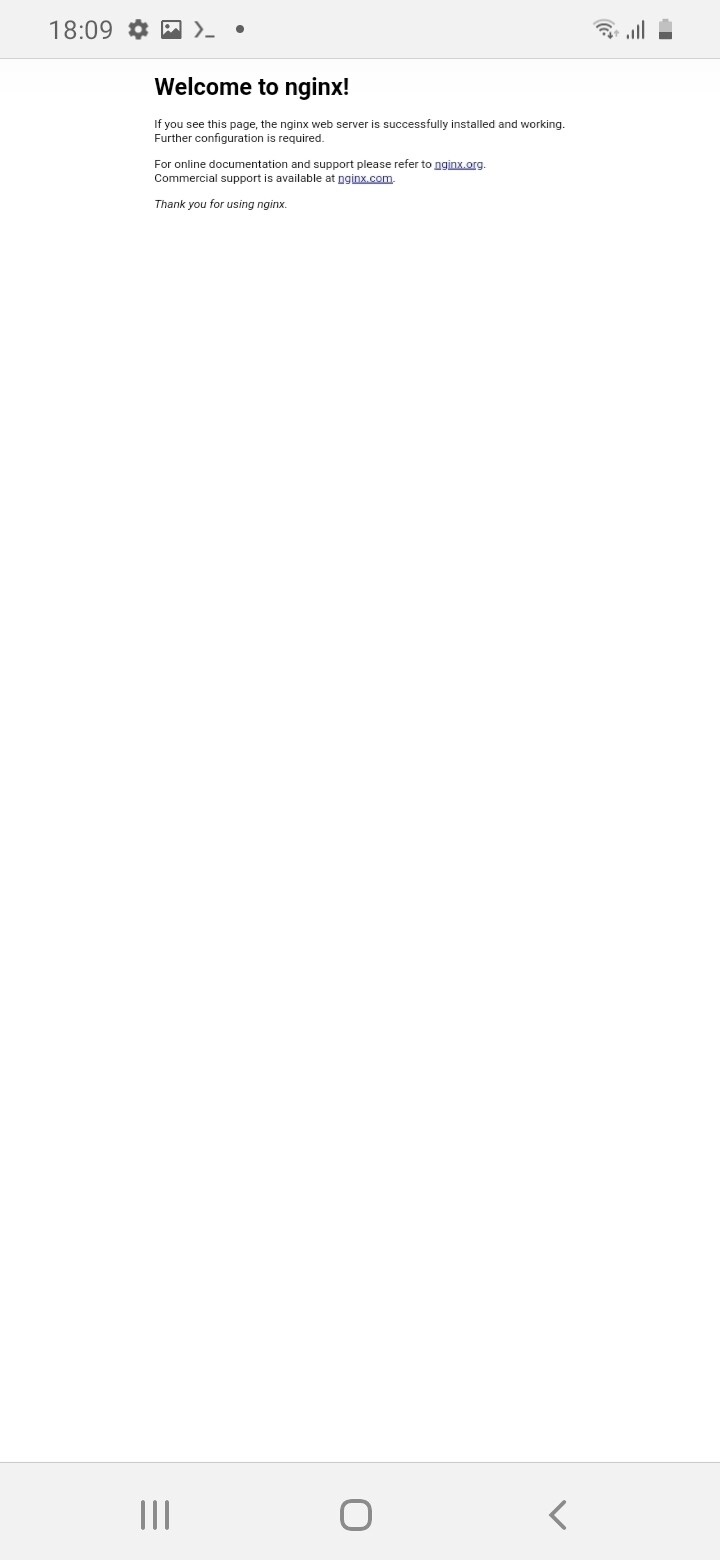 "Welcome to nginx" page on a phone